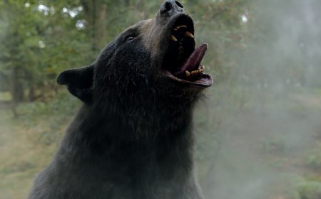 Elizabeth Banks Takes Audiences on a Trippy Journey with 'Cocaine Bear