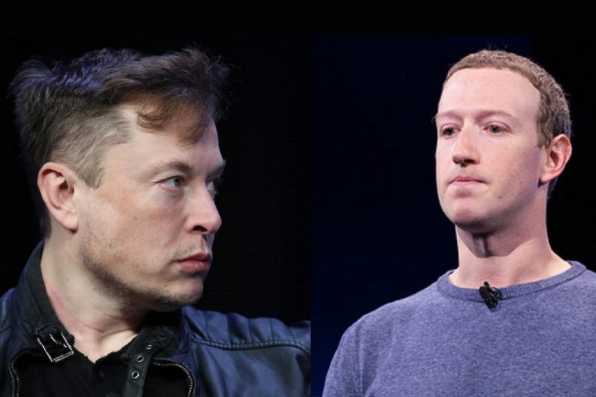 Elon Musk vs. Zuckerberg: Meta's Cage Fight Challenge Ignites Twitter Rivalry